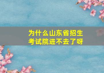 为什么山东省招生考试院进不去了呀