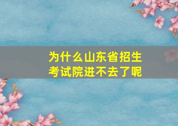 为什么山东省招生考试院进不去了呢