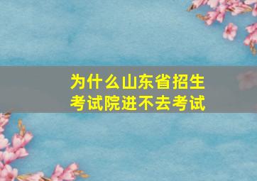 为什么山东省招生考试院进不去考试