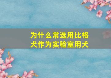 为什么常选用比格犬作为实验室用犬