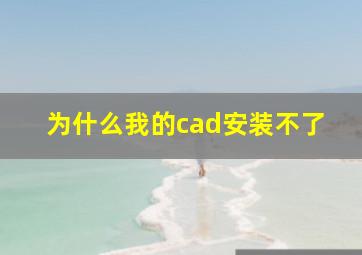 为什么我的cad安装不了