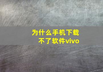 为什么手机下载不了软件vivo