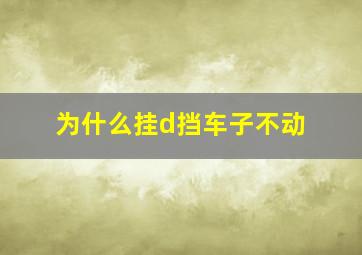 为什么挂d挡车子不动