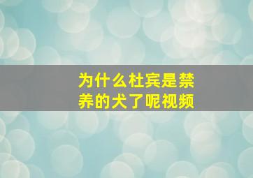 为什么杜宾是禁养的犬了呢视频