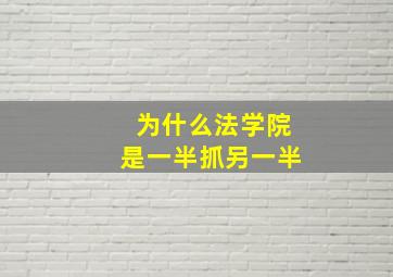 为什么法学院是一半抓另一半