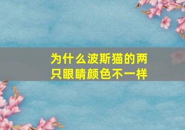 为什么波斯猫的两只眼睛颜色不一样