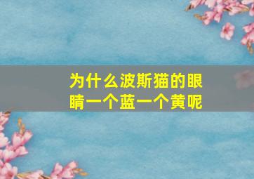 为什么波斯猫的眼睛一个蓝一个黄呢