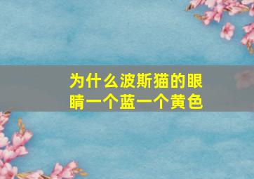 为什么波斯猫的眼睛一个蓝一个黄色