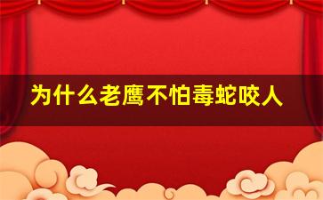 为什么老鹰不怕毒蛇咬人