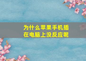 为什么苹果手机插在电脑上没反应呢