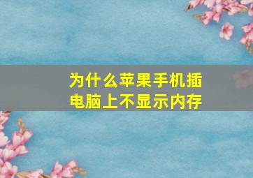 为什么苹果手机插电脑上不显示内存