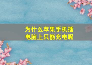 为什么苹果手机插电脑上只能充电呢