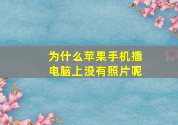 为什么苹果手机插电脑上没有照片呢