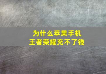 为什么苹果手机王者荣耀充不了钱