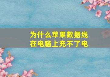 为什么苹果数据线在电脑上充不了电