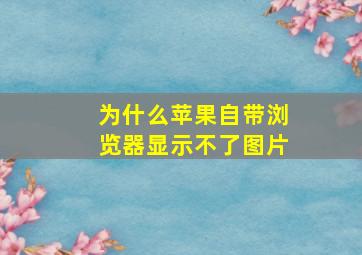 为什么苹果自带浏览器显示不了图片