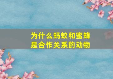 为什么蚂蚁和蜜蜂是合作关系的动物