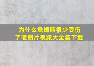 为什么詹姆斯很少受伤了呢图片视频大全集下载