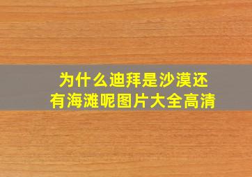 为什么迪拜是沙漠还有海滩呢图片大全高清