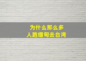 为什么那么多人跑缅甸去台湾