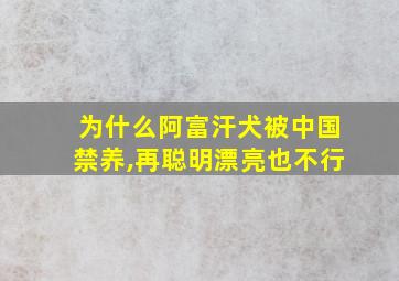 为什么阿富汗犬被中国禁养,再聪明漂亮也不行