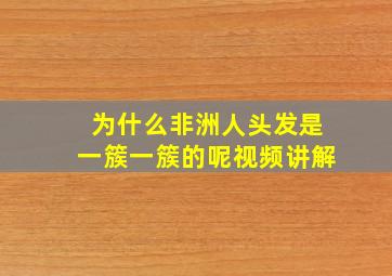 为什么非洲人头发是一簇一簇的呢视频讲解