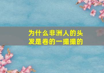 为什么非洲人的头发是卷的一撮撮的