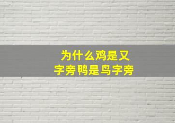 为什么鸡是又字旁鸭是鸟字旁