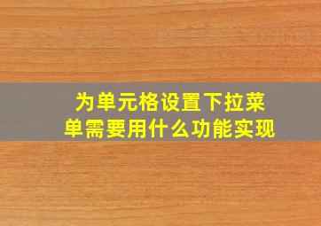 为单元格设置下拉菜单需要用什么功能实现