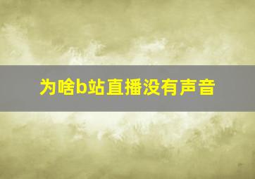 为啥b站直播没有声音