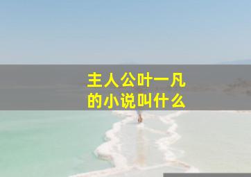 主人公叶一凡的小说叫什么