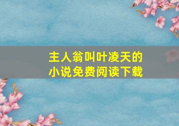 主人翁叫叶凌天的小说免费阅读下载