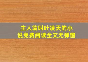 主人翁叫叶凌天的小说免费阅读全文无弹窗