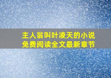 主人翁叫叶凌天的小说免费阅读全文最新章节