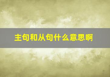 主句和从句什么意思啊