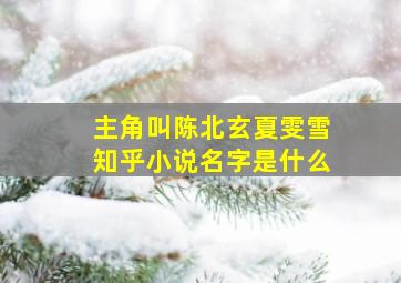 主角叫陈北玄夏雯雪知乎小说名字是什么