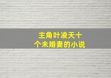 主角叶凌天十个未婚妻的小说