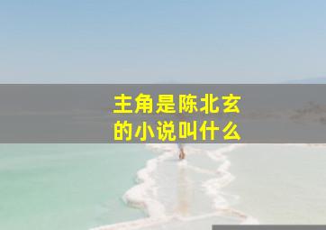 主角是陈北玄的小说叫什么