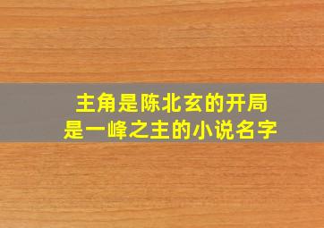 主角是陈北玄的开局是一峰之主的小说名字