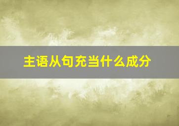 主语从句充当什么成分