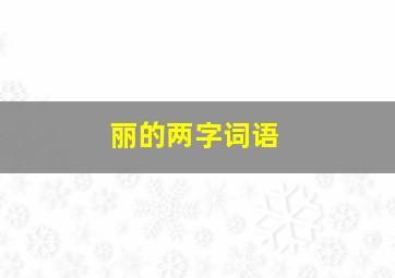 丽的两字词语