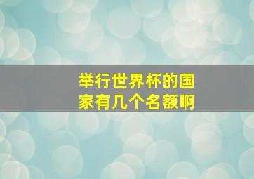 举行世界杯的国家有几个名额啊