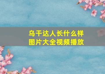 乌干达人长什么样图片大全视频播放