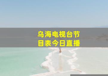 乌海电视台节目表今日直播