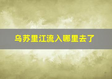 乌苏里江流入哪里去了