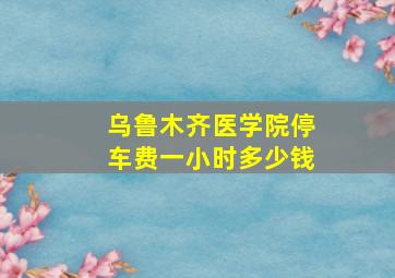 乌鲁木齐医学院停车费一小时多少钱