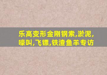 乐高变形金刚钢索,淤泥,嚎叫,飞镖,铁渣鱼羊专访