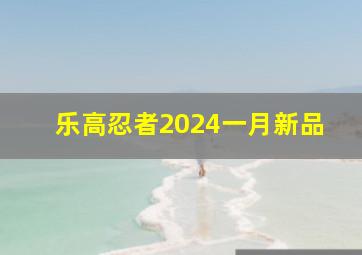 乐高忍者2024一月新品