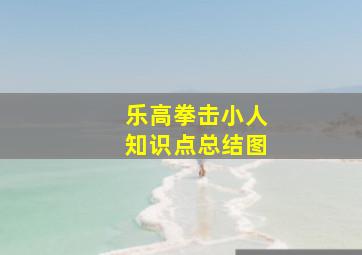 乐高拳击小人知识点总结图