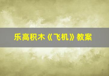 乐高积木《飞机》教案